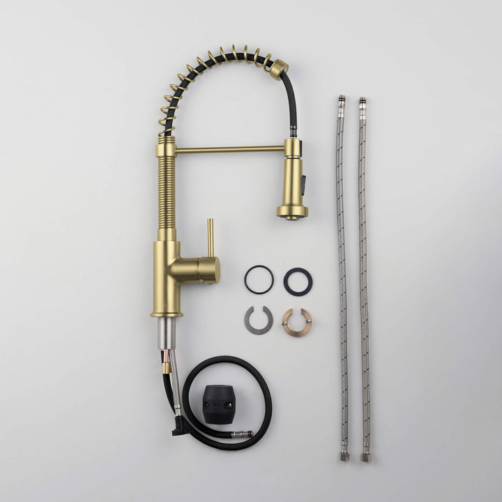 Genova Commercial-Style Single-Handle Pull-Down Kitchen Faucet
