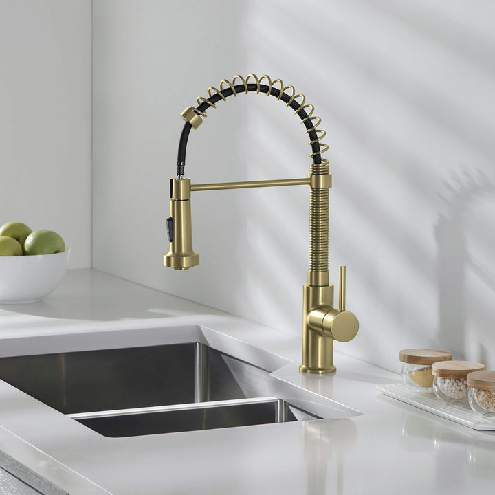 Genova Commercial-Style Single-Handle Pull-Down Kitchen Faucet