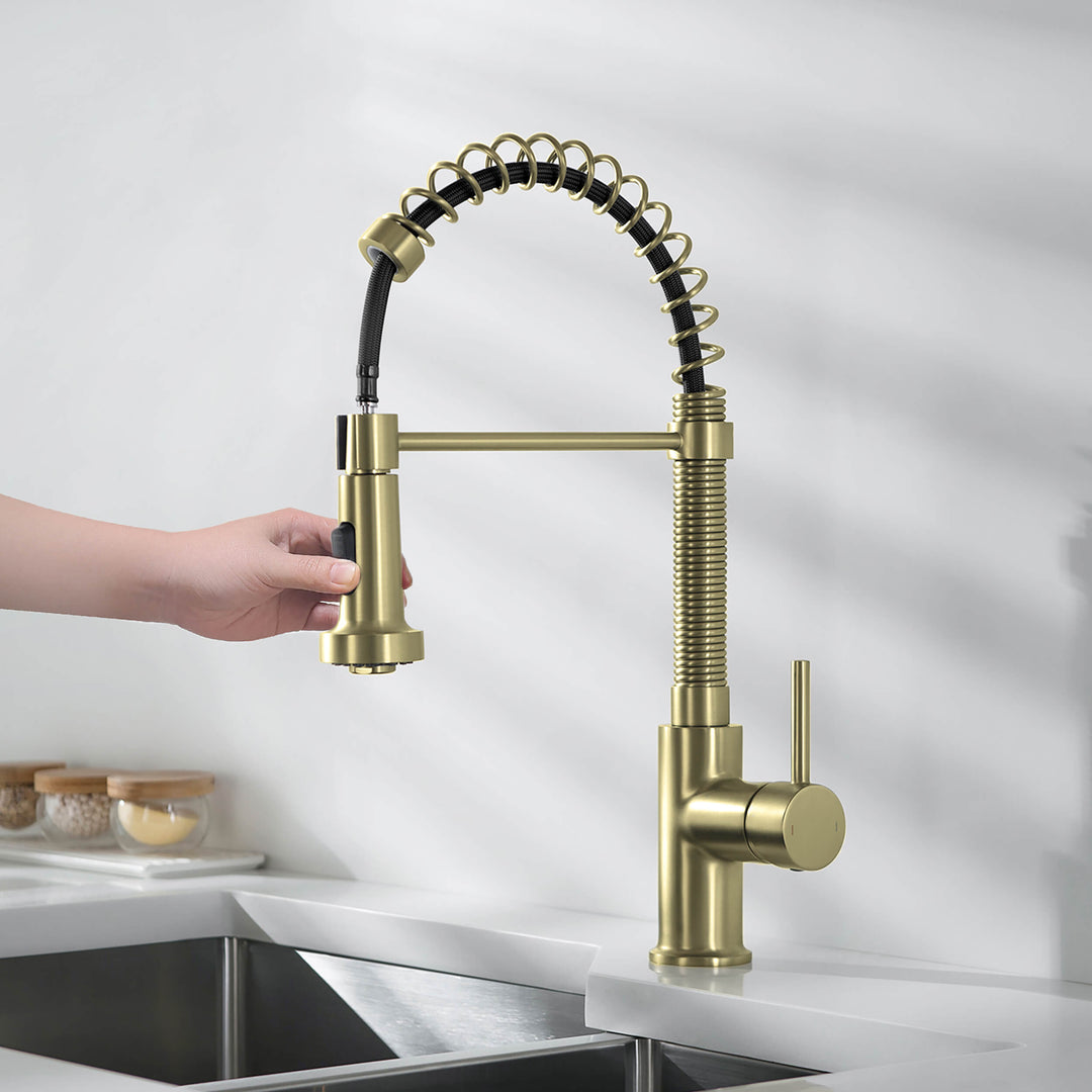 Genova Commercial-Style Single-Handle Pull-Down Kitchen Faucet