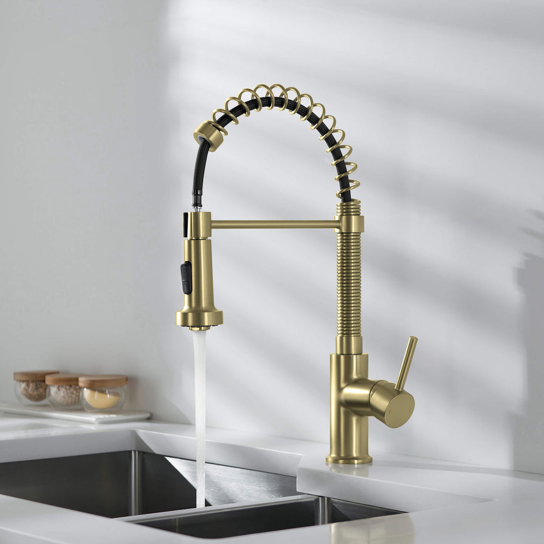 Genova Commercial-Style Single-Handle Pull-Down Kitchen Faucet