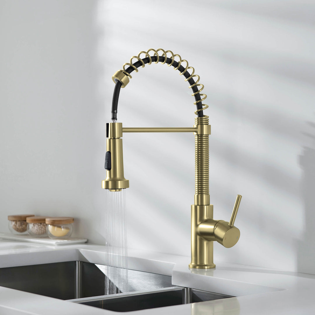 Genova Commercial-Style Single-Handle Pull-Down Kitchen Faucet