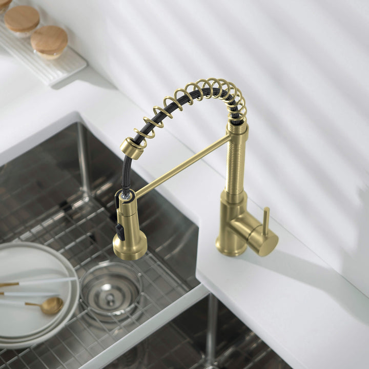 Genova Commercial-Style Single-Handle Pull-Down Kitchen Faucet