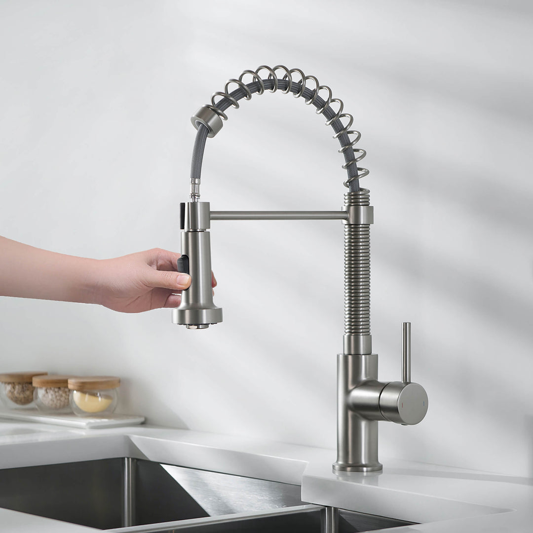 Genova Commercial-Style Single-Handle Pull-Down Kitchen Faucet