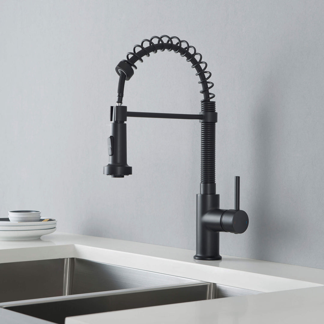 Genova Commercial-Style Single-Handle Pull-Down Kitchen Faucet
