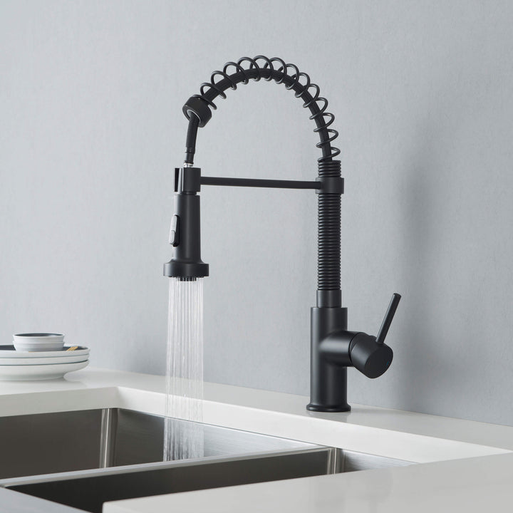 Genova Commercial-Style Single-Handle Pull-Down Kitchen Faucet