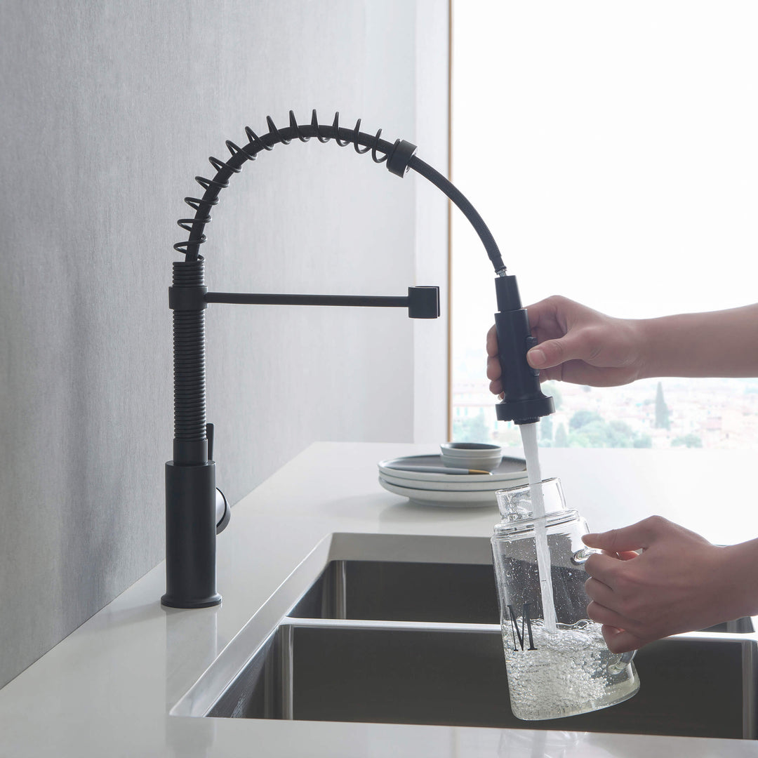 Genova Commercial-Style Single-Handle Pull-Down Kitchen Faucet