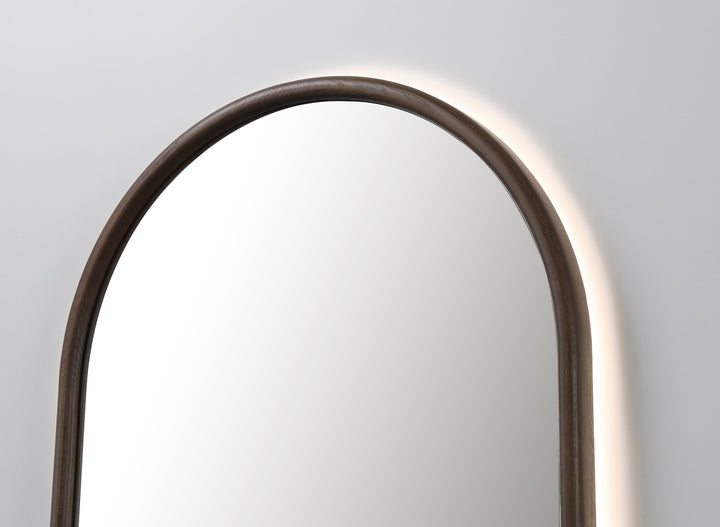 Zen 24" LED Bathroom Mirror in Chestnut Oak, Anti-Fog