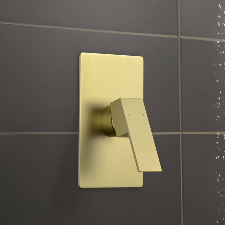 Quadro Single-Function Rough-In Valve Trim Plate