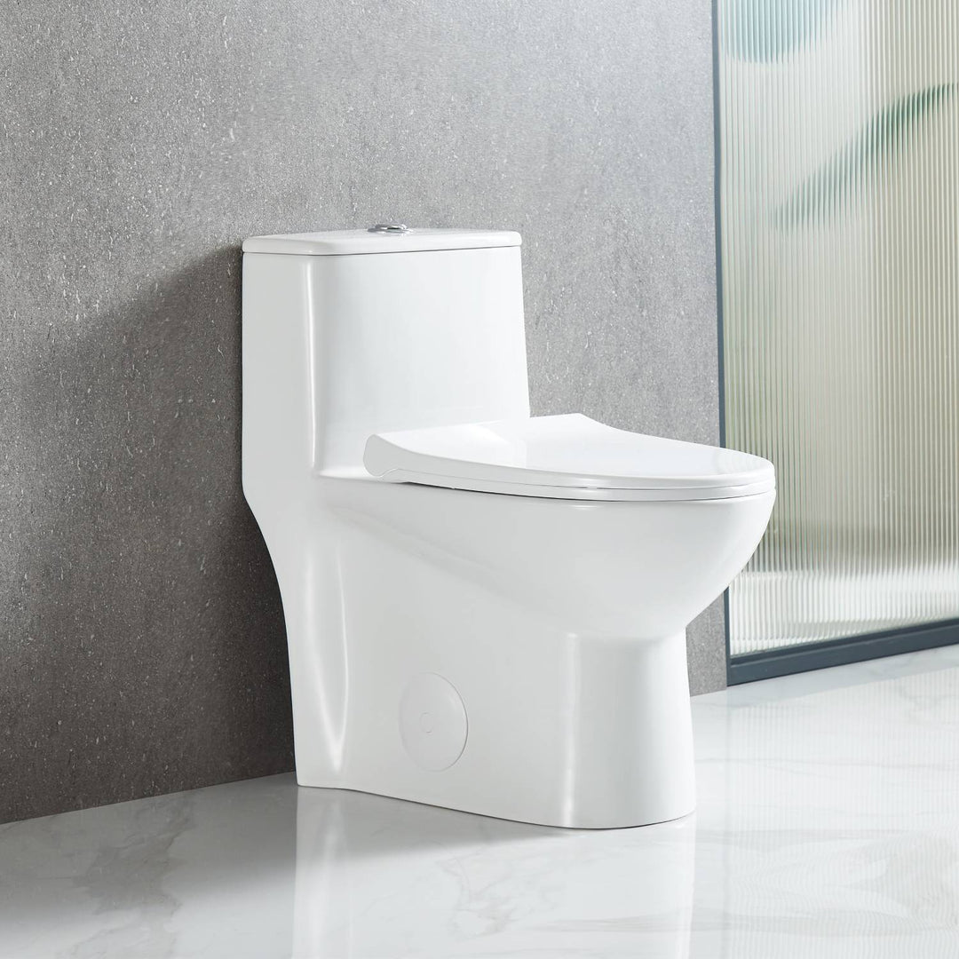 T9 One-Piece Toilet, 1.1/1.6 GPF Dual-Flush in 02 | ANVE Kitchen & Bath