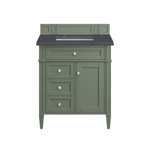 Brittany 30 inch Bathroom Vanity in Smokey Celadon With Charcoal Soapstone Quartz Top